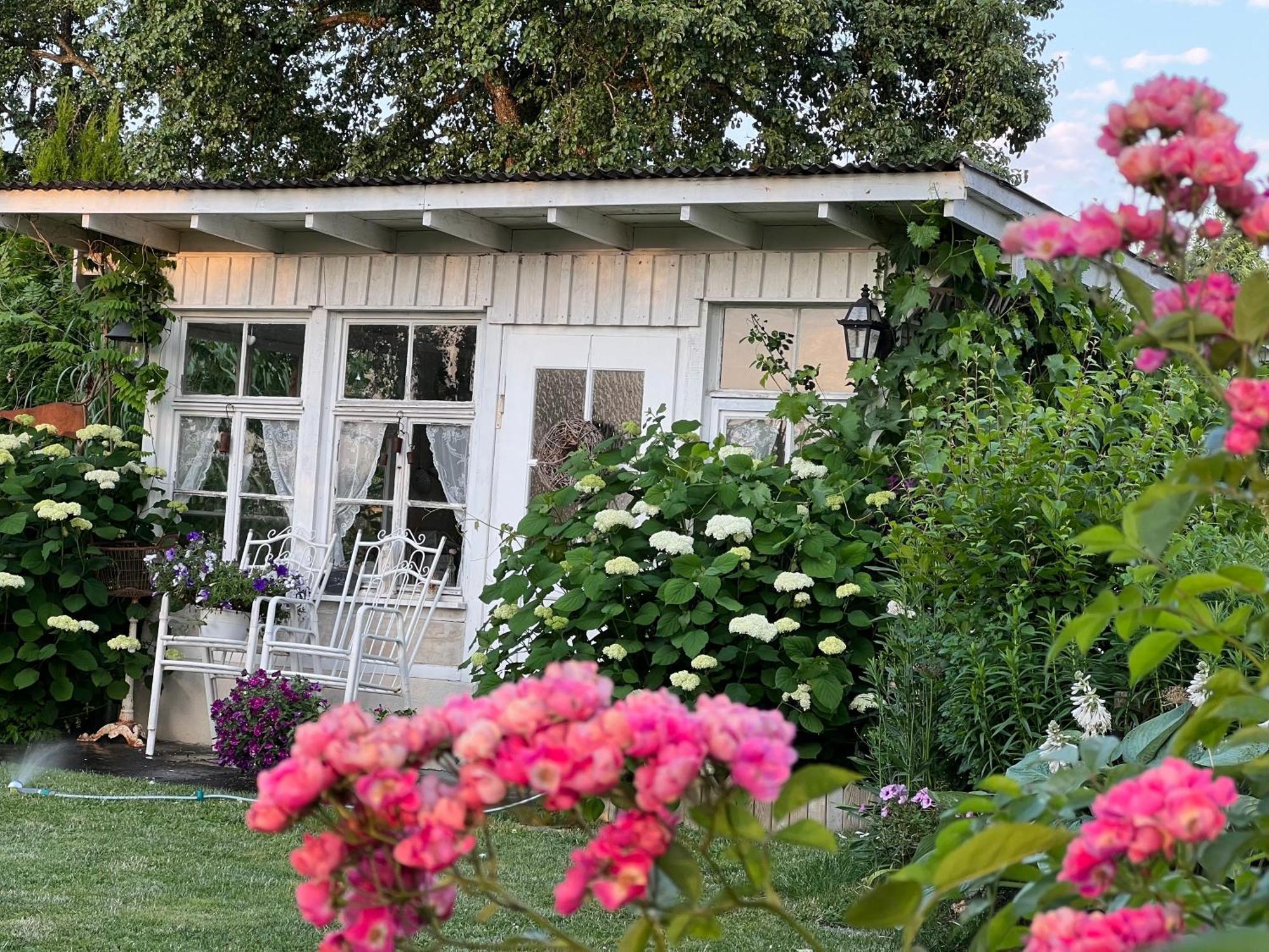 Cafe Canape, Wohlfuehlen Im Schoenen Hof Zwischen Ravensburg & Bodensee Exterior photo