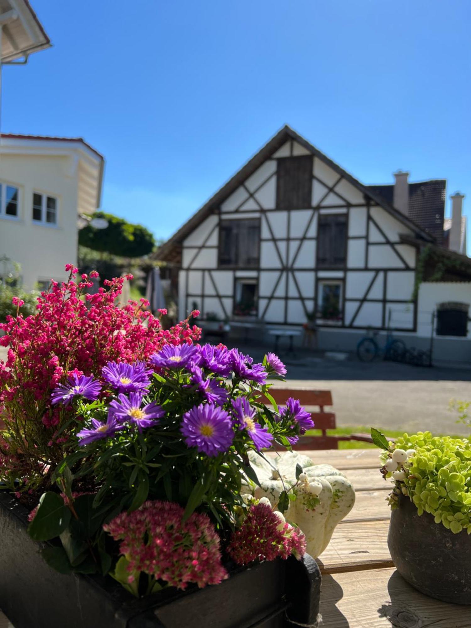 Cafe Canape, Wohlfuehlen Im Schoenen Hof Zwischen Ravensburg & Bodensee Exterior photo